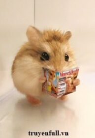 mat-the-hamster-giau-chay-mo