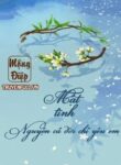 mat-tinh-nguyen-ca-doi-chi-yeu-em
