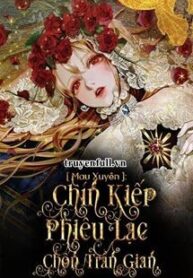 mau-xuyen-chin-kiep-phieu-lac-chon-tran-gian