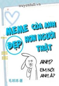 meme-cua-anh-dep-hon-nguoi-that