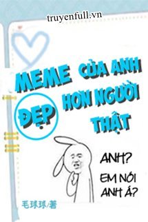 meme-cua-anh-dep-hon-nguoi-that