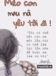 meo-con-mau-noi-yeu-toi-di