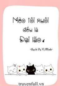 meo-toi-nuoi-deu-la-dai-lao