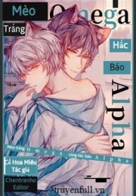 meo-trang-omega-cung-hac-bao-alpha