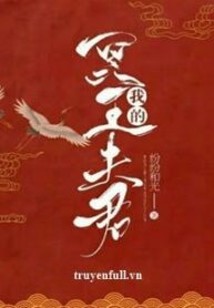 minh-vuong-phu-quan