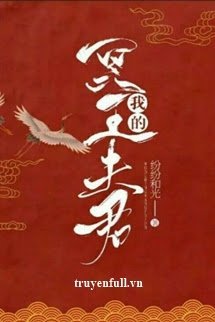 minh-vuong-phu-quan