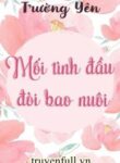 moi-tinh-dau-doi-bao-nuoi