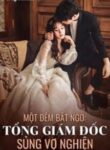 mot-dem-bat-ngo-tong-giam-doc-sung-vo-nghien