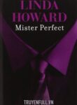 mr-perfect