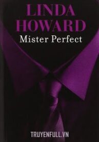 mr-perfect