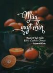 mua-quyt-chin